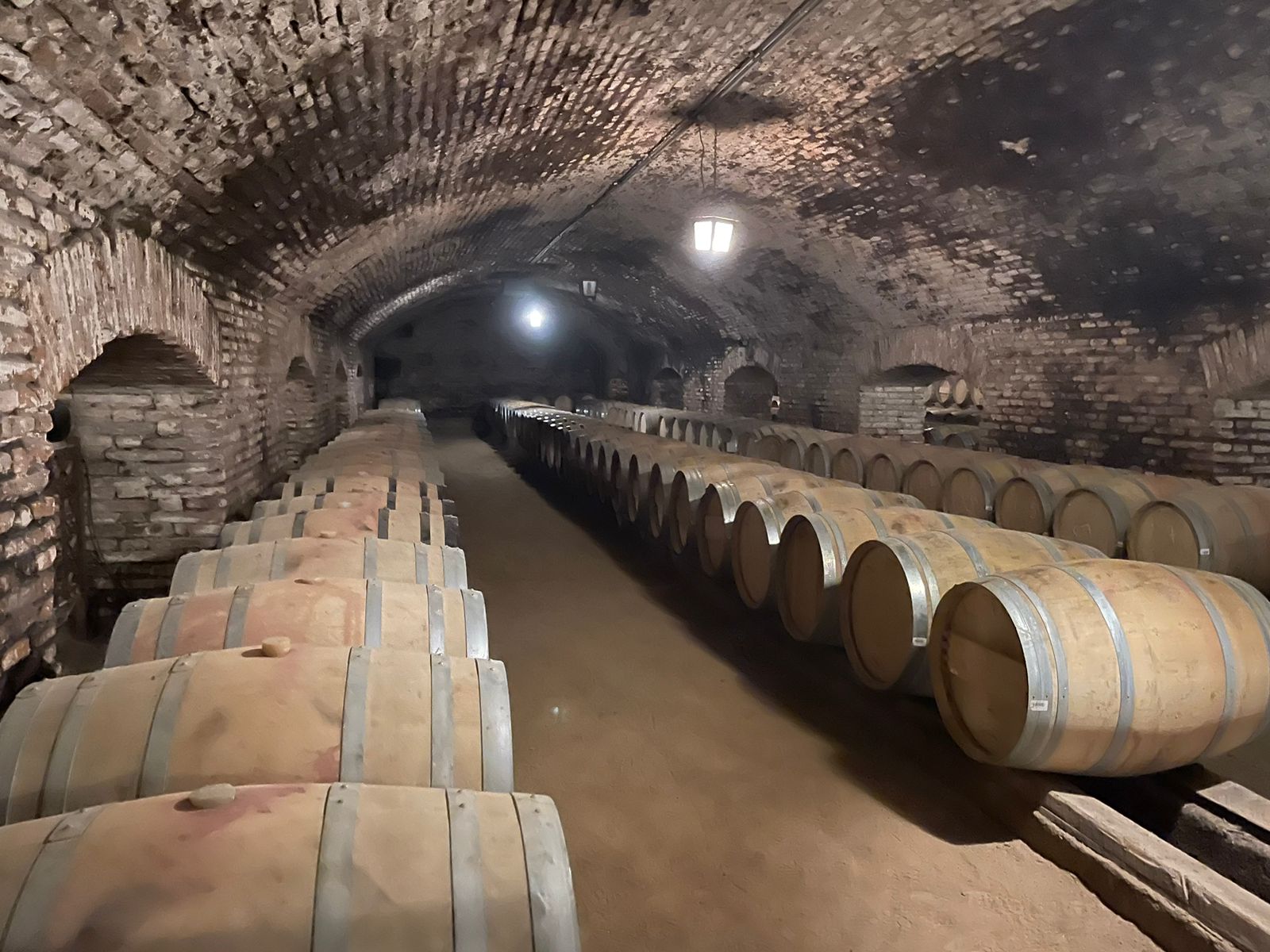 Uma visita a Concha y Toro