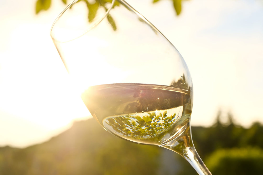 Conhecendo sobre Vinhos: Pinot Gris