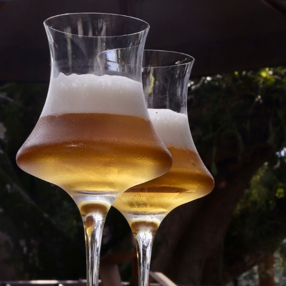 Taças de Cristal Witte Mineira Mozart Crystal By Frederico Strauss - 375ml - Cerveja